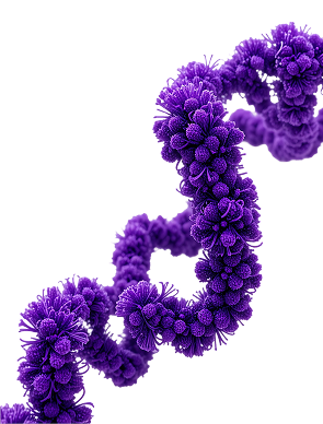 dna